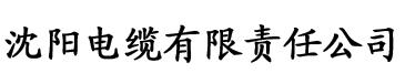 亚洲欧洲一区二区三区久久电缆厂logo